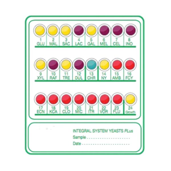 SISTEMA INTEGRAL LEVADURAS PLUS 20