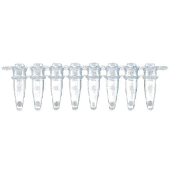QSCRIPT LYO 1-STEP RT-QPCR 24X25µL KIT