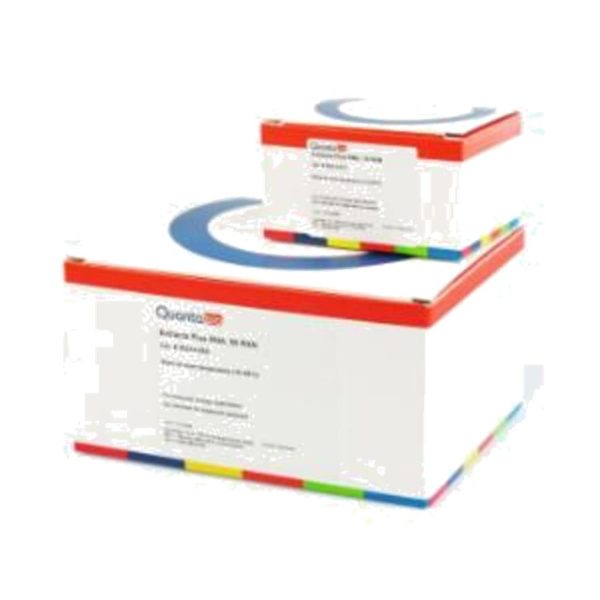 EXTRACTA PLUS DNA P/10