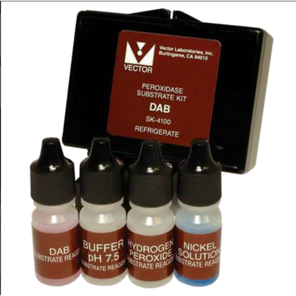 KIT SUBSTRATO DAB PEROXIDASO CON NIKEL
