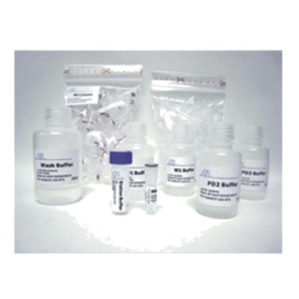 PLASMID MINIKIT 300 PREP