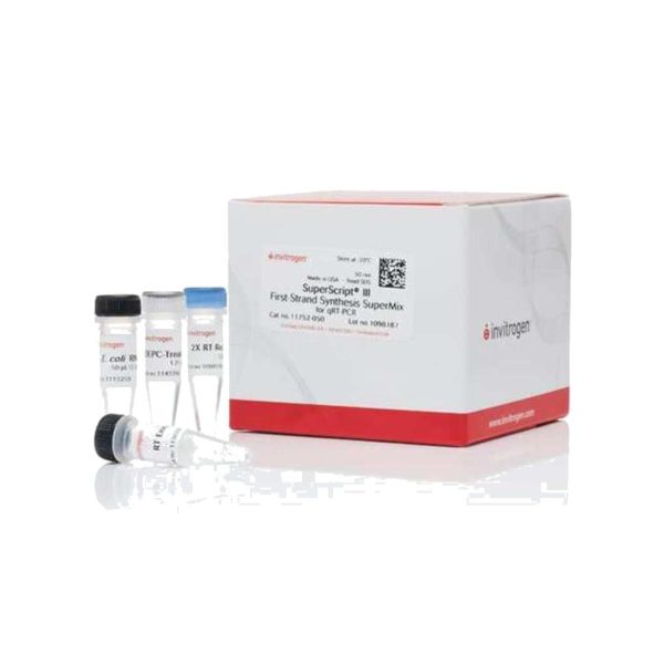 SINTESIS DE Cdna, qScript KIT 100 REACCIONES