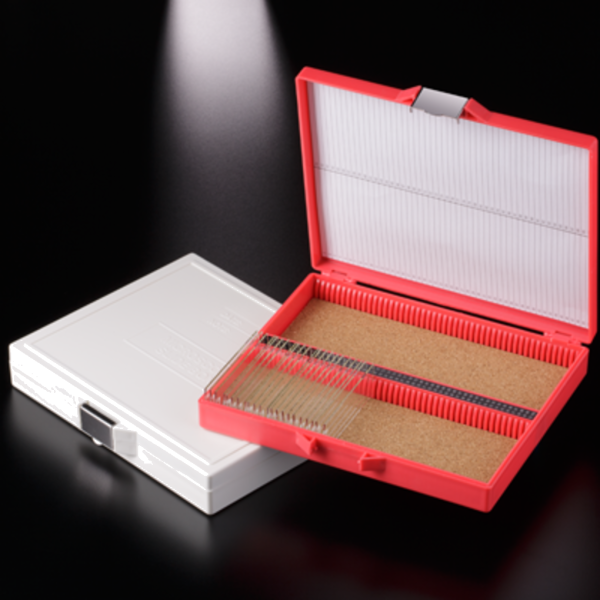 CAJA ROJA 100 PORTAOBJETOS