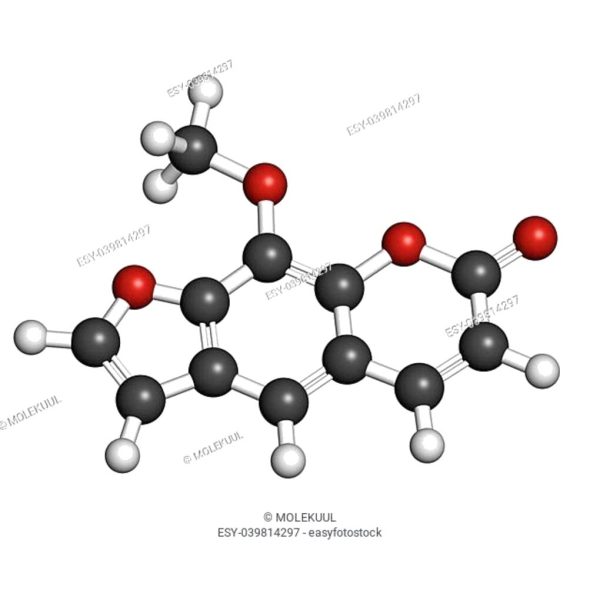 1-(4-METOXIFENIL) PIPERAZINA 96% 25 GR