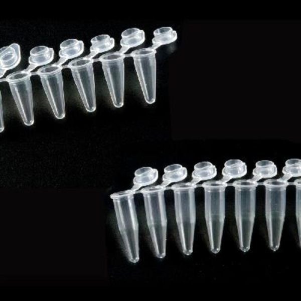TIRAS 8 PCR+TAPON LOW PROFILE C/120