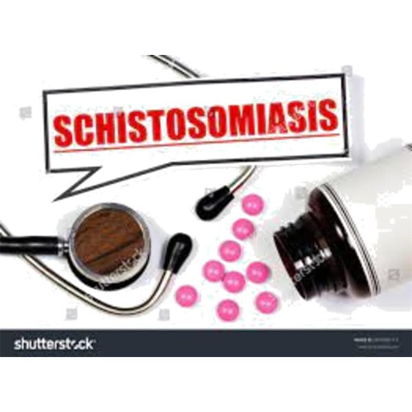 BILHARZIOSE/SCHISTOSOMIASIS 120 TEST