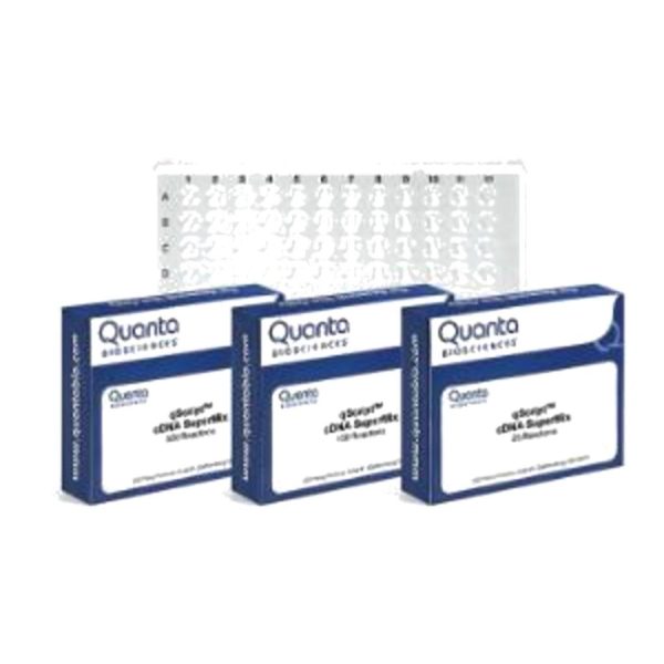 QSCRIPT™ FLEX CDNA SYNTHESIS KIT