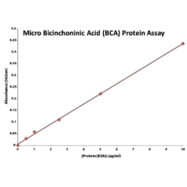 KIT ENSAYO PROTEINAS BCA