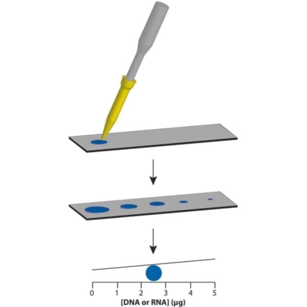 KIT BASIC NUCLEIC DOTMETRIC