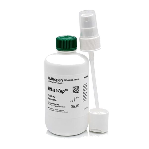 RNASEZAP 250 ML