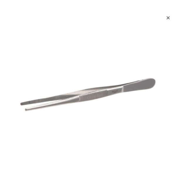 PINZA PUNTA ROMA  INOX.105 MM (NO RATONES)