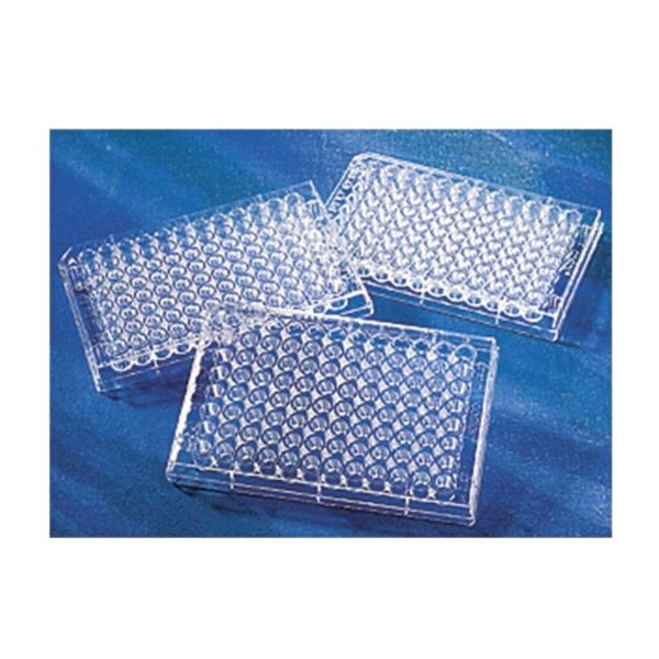 PLACAS PE F. REDONDO 96 POCILLOS EST.C/100